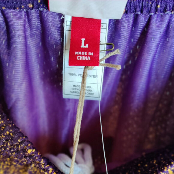 Mitchell & Ness 2009 Los Angeles Lakers Gradient Spray Paint HWC Shorts Large - Picture 5 of 6